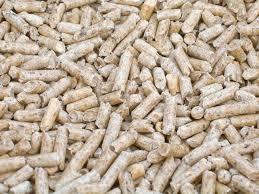 pellet
